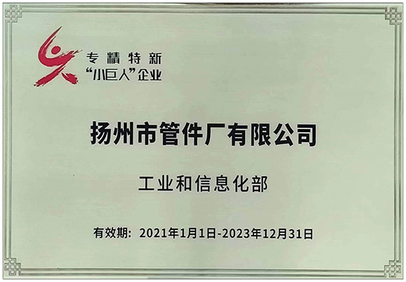 專(zhuān)精特新小巨人企業(yè)